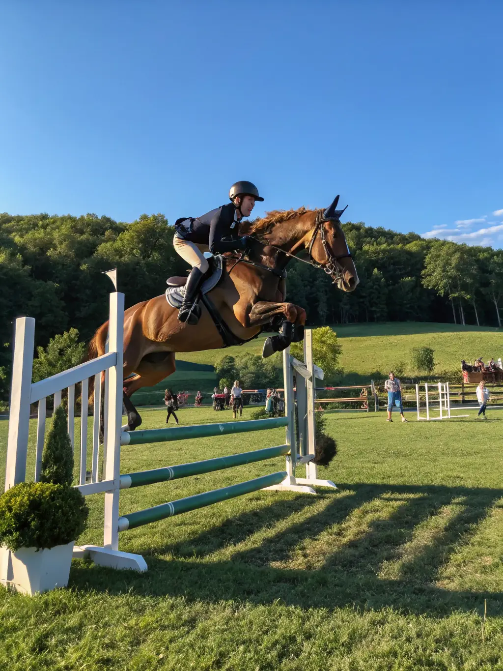 A photograph of a horse jumping over an obstacle during a show jumping competition, highlighting the club's competitive events.