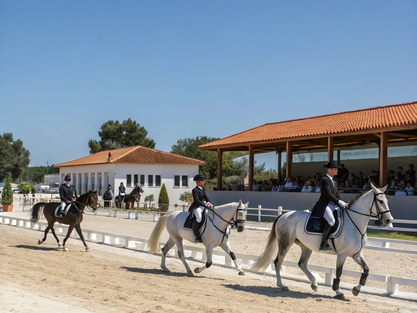 A group of riders participating in a dressage clinic, focusing on precision and harmony with their horses, set against the backdrop of the Fregiere equestrian center.